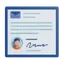 Email Signature